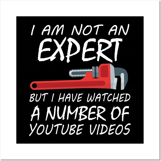 I Am Not An Expert But I Have Watched A Number Of Youtube Video Wall Art by Tee-hub